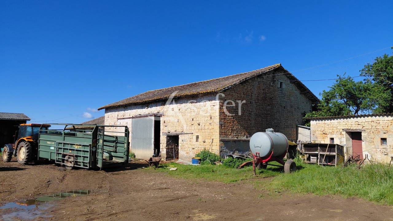Sheep farm  Deux-S&egrave;vres