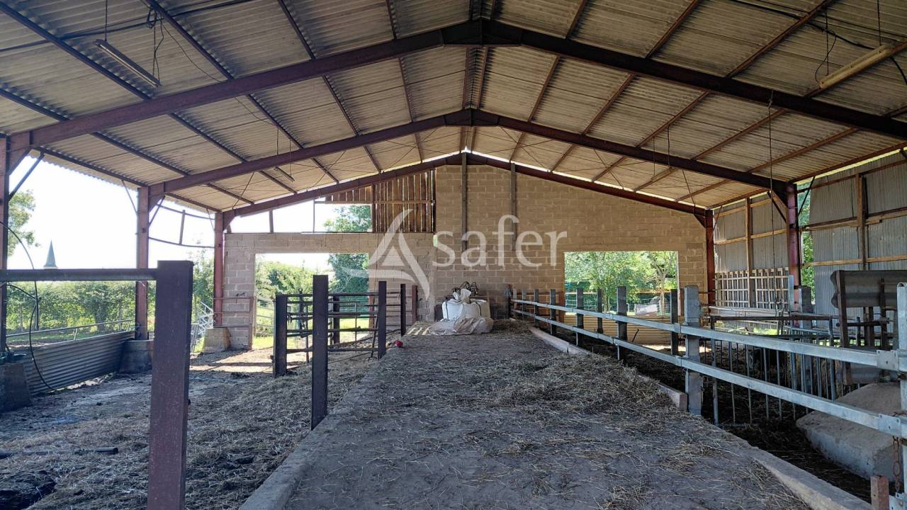 Sheep farm  Deux-S&egrave;vres
