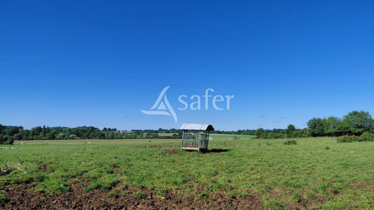 Sheep farm  Deux-S&egrave;vres