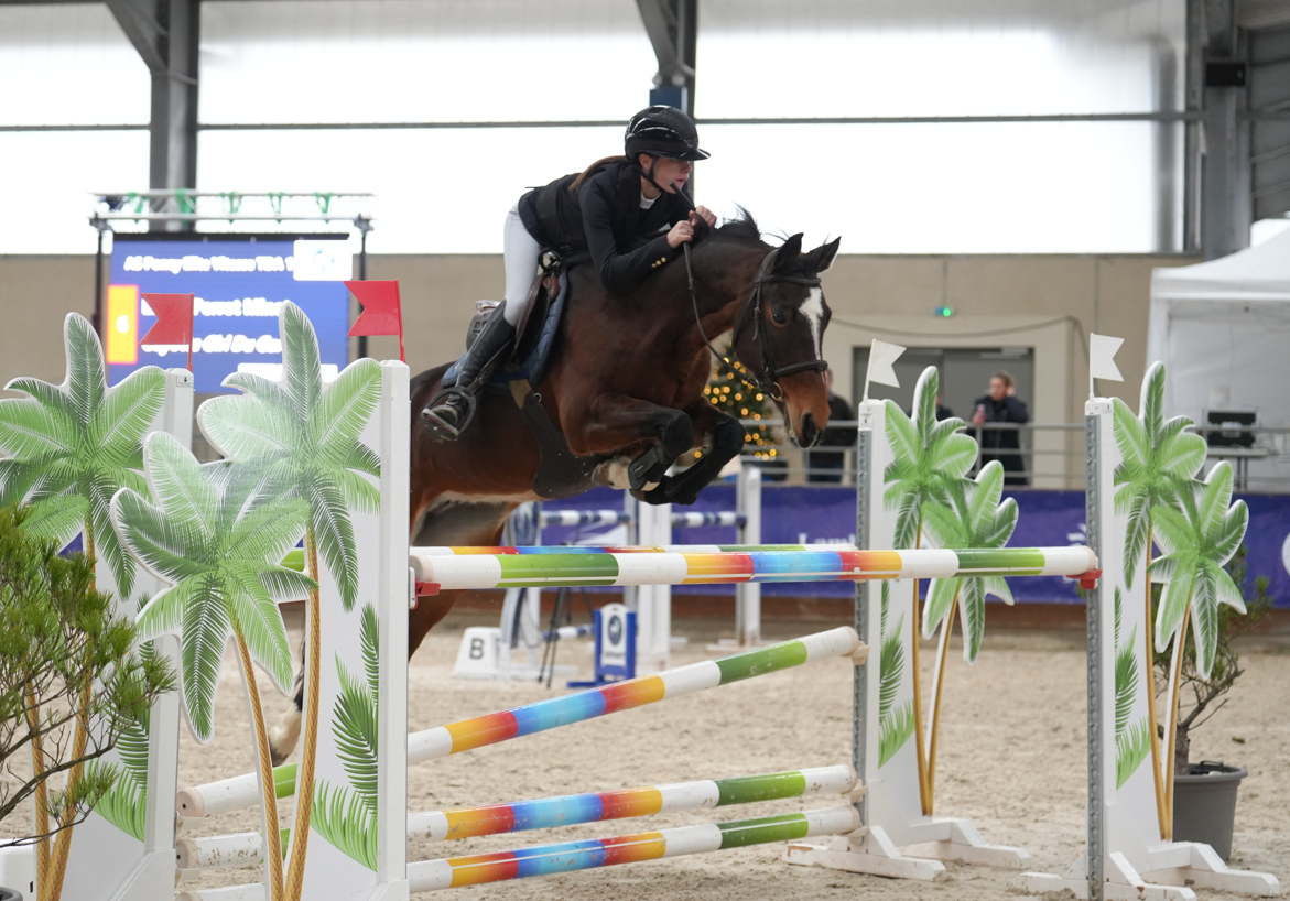 Mare French Saddle Pony For sale 2012 Bay