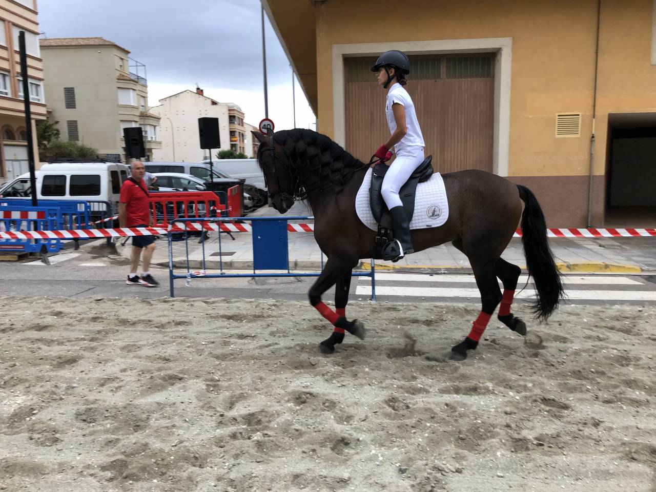 Gelding PRE Pure Spanish Bred For sale 2016 Other color
