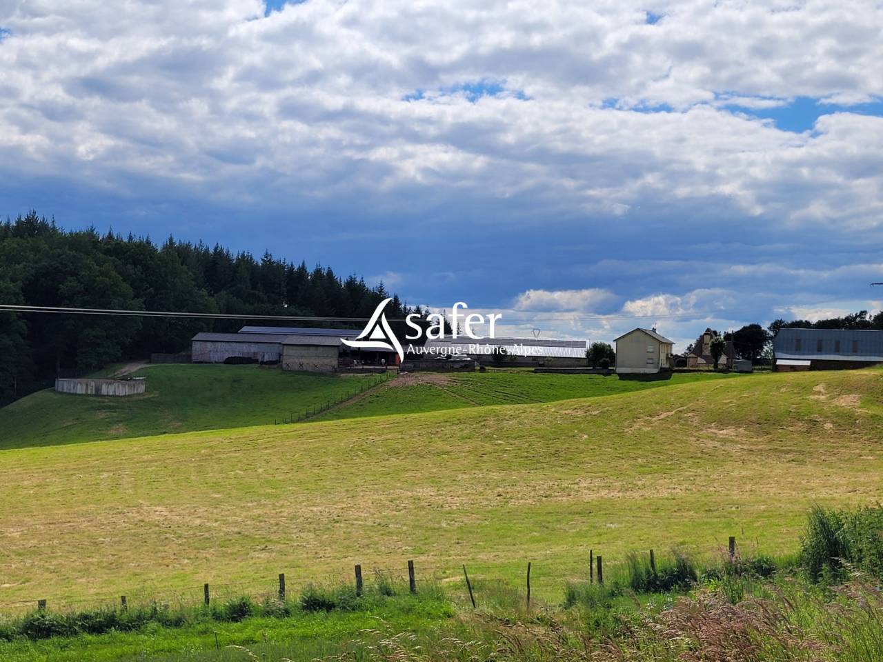 Dairy farm  Cantal