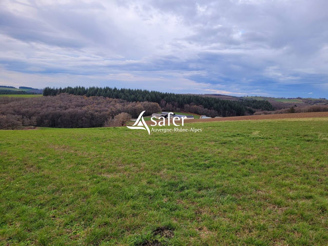 Dairy farm  Cantal