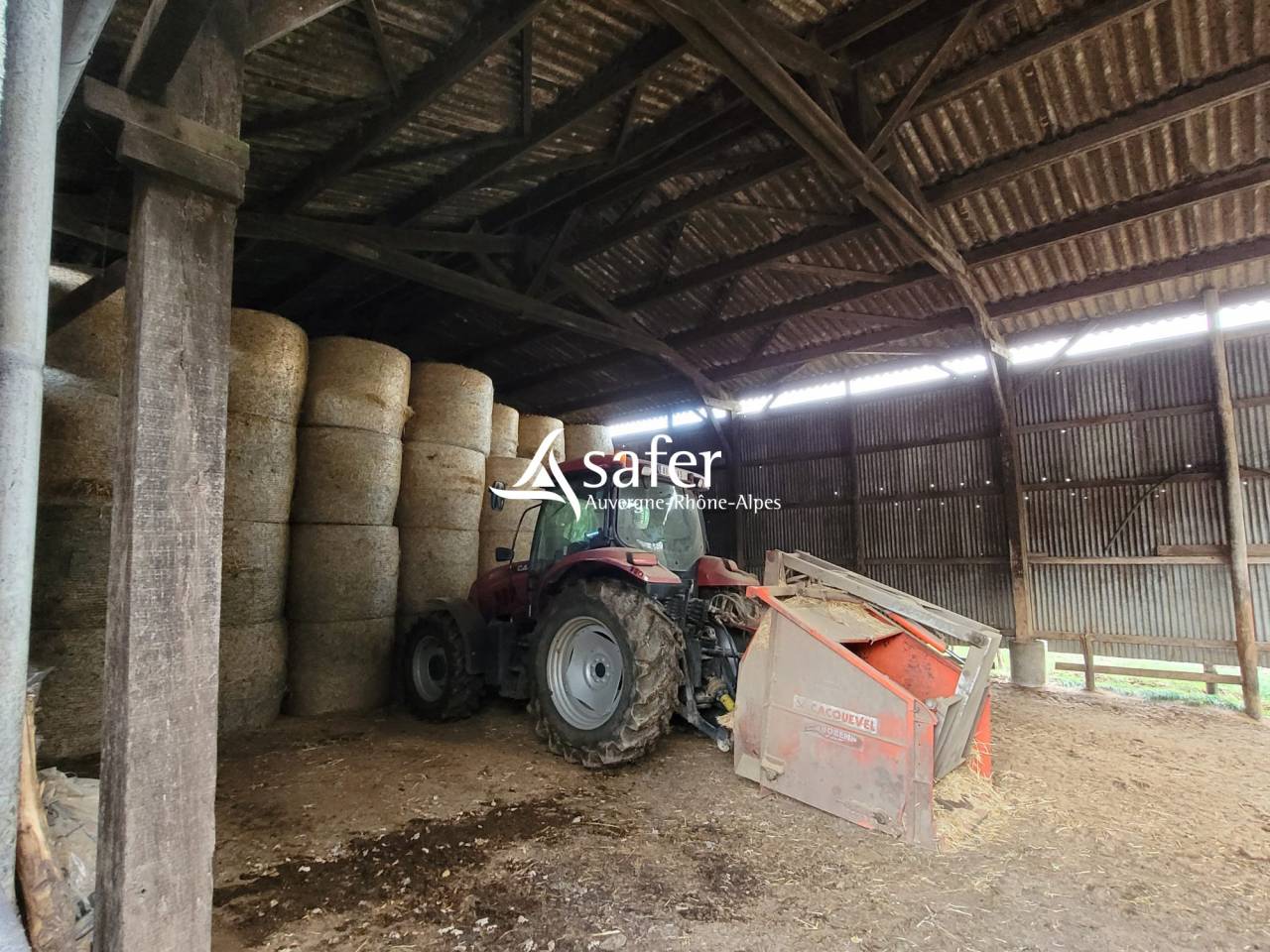 Dairy farm  Cantal