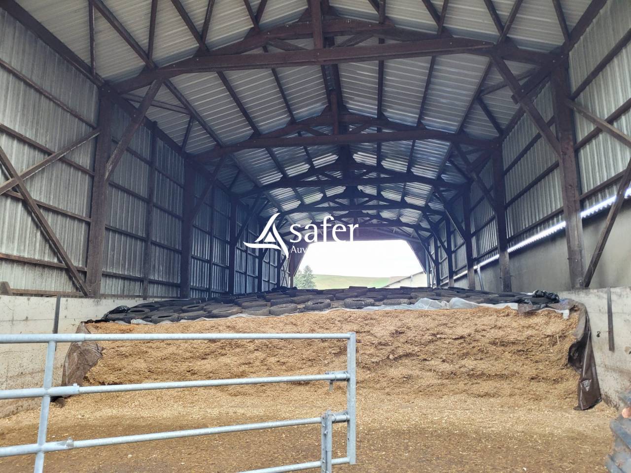 Dairy farm  Cantal