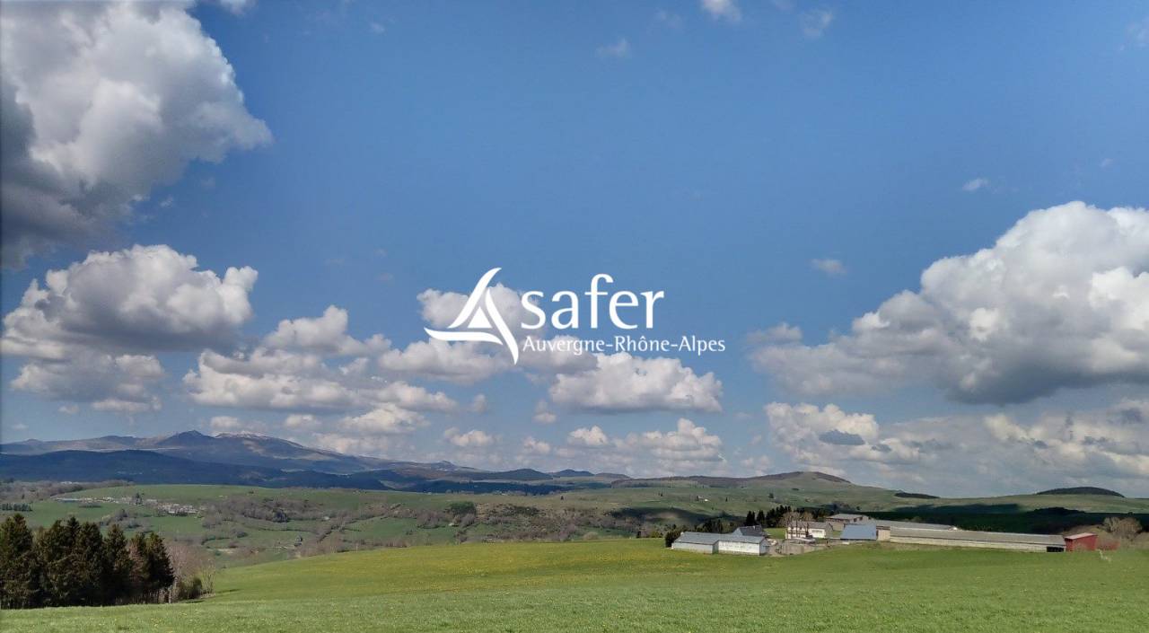 Dairy farm  Cantal