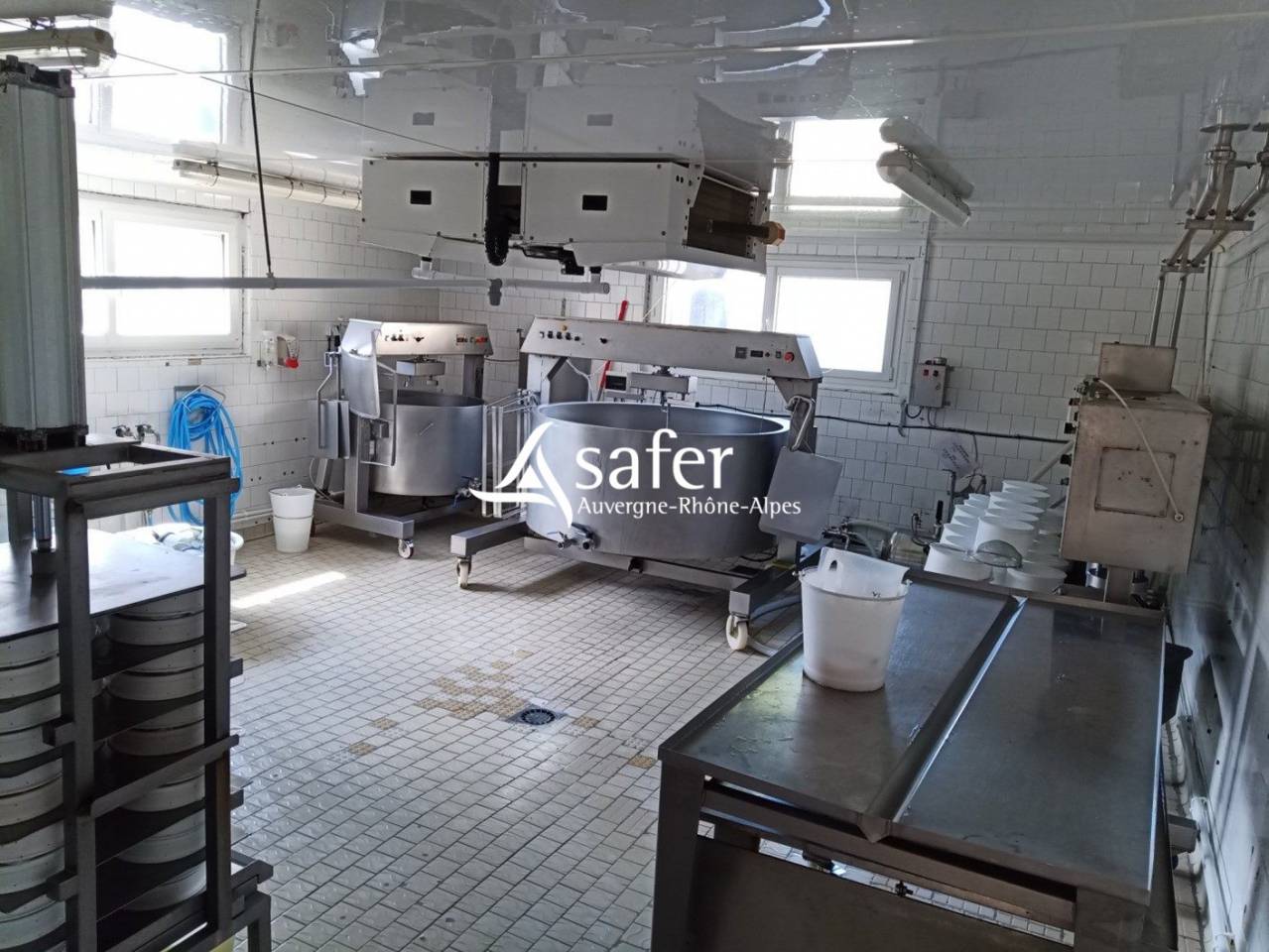 Dairy farm  Cantal