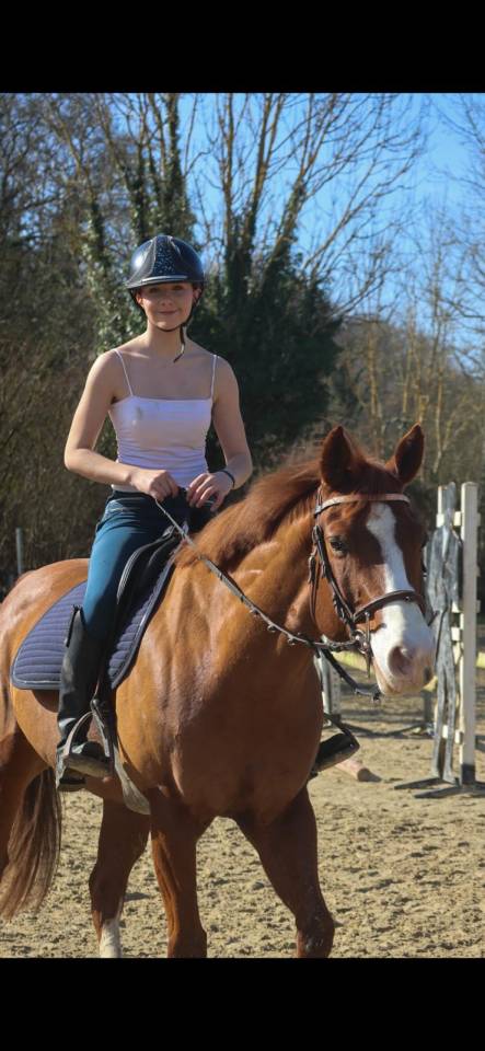 Gelding Paint For sale 2017 Chesnut