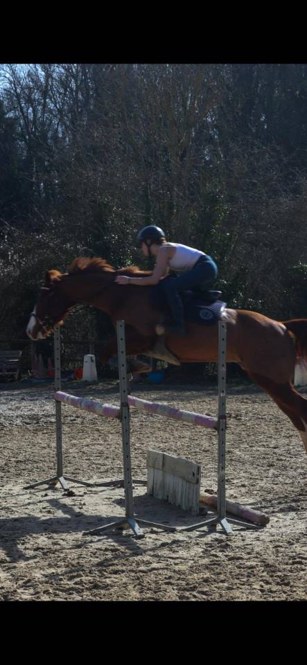 Gelding Paint For sale 2017 Chesnut