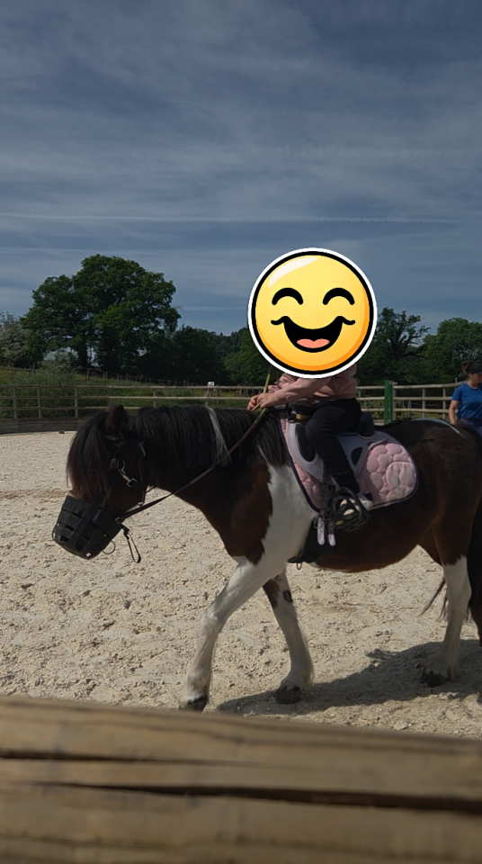 Mare Origin Recorded For sale 2009 Coloured