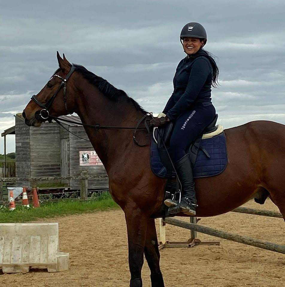 Gelding Zangersheide For sale 2005 Bay