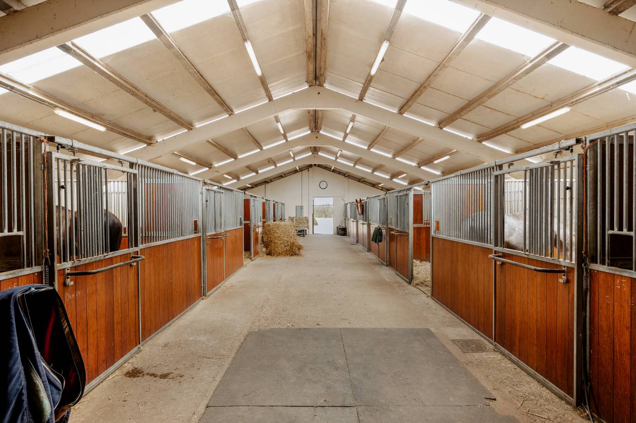 Luxurious equestrian property  Hainaut