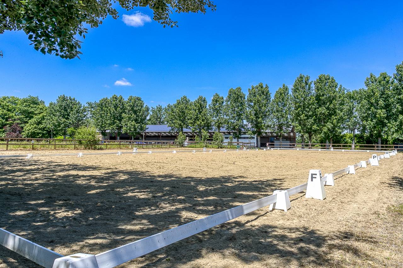 Stud farm  Hautes-Pyr&eacute;n&eacute;es