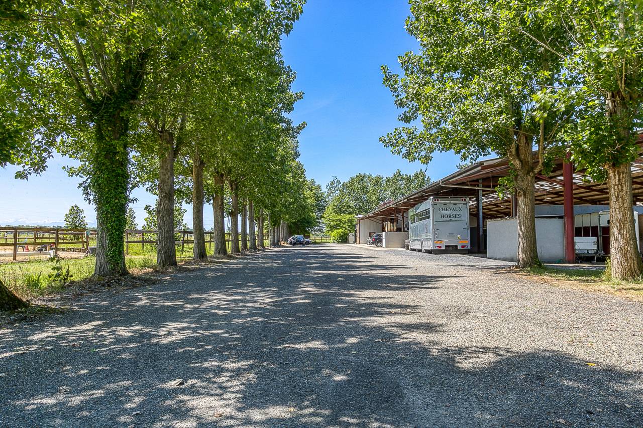 Stud farm  Hautes-Pyr&eacute;n&eacute;es