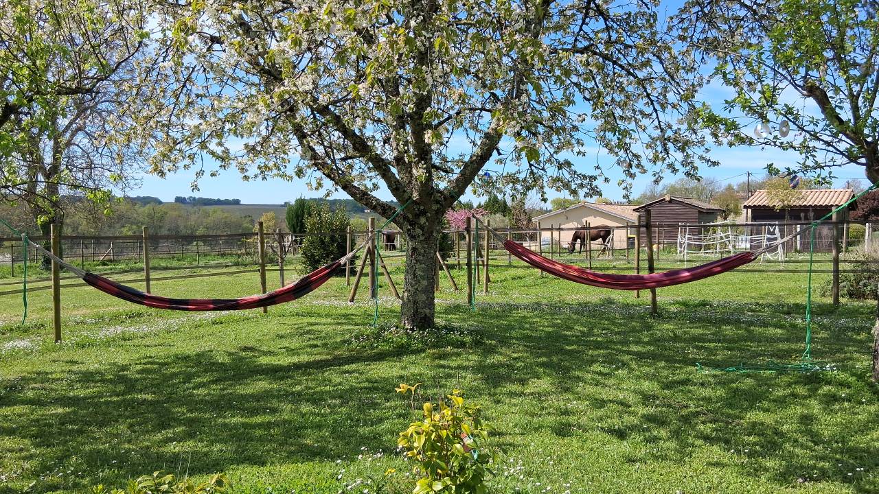Luxurious equestrian property  Gironde
