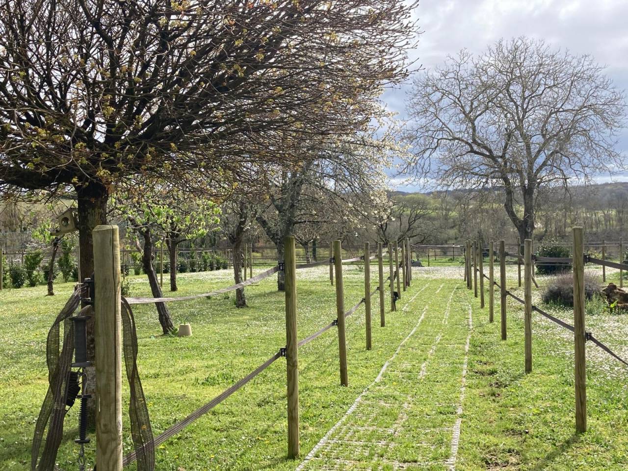 Luxurious equestrian property  Gironde