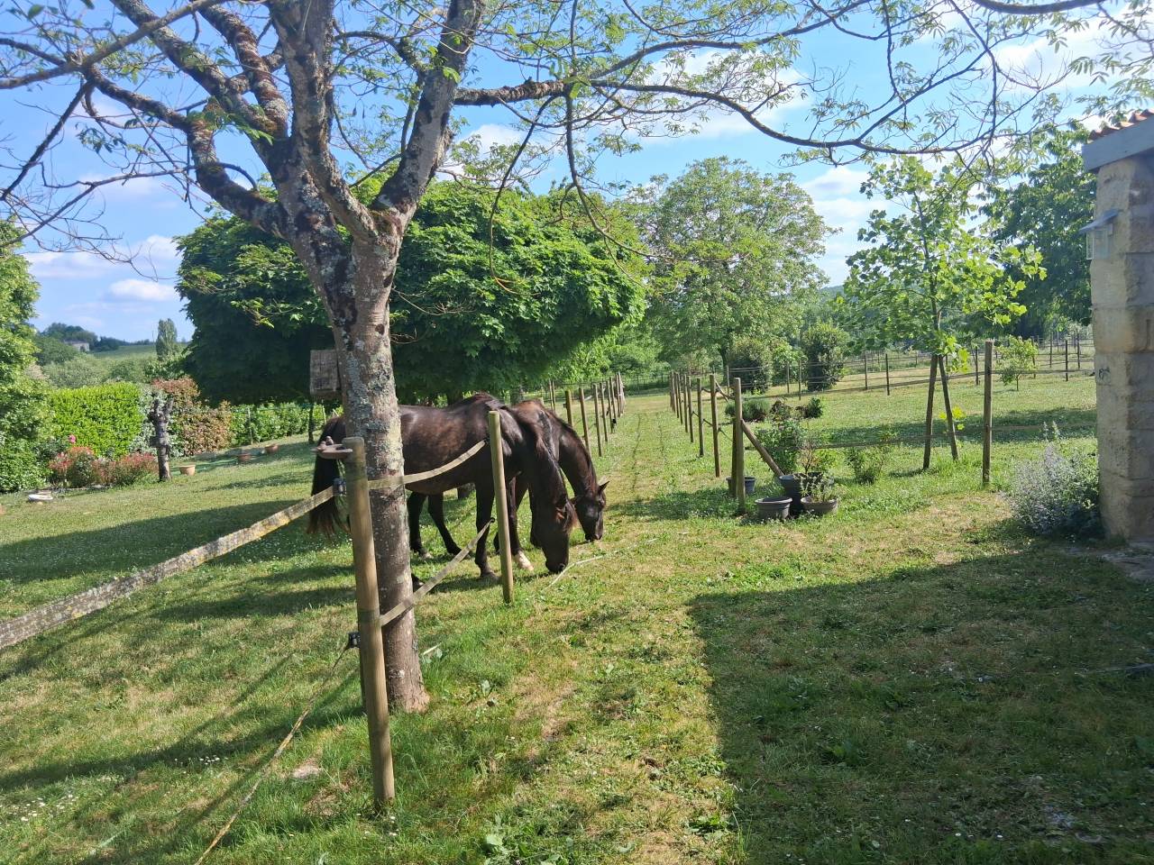 Luxurious equestrian property  Gironde