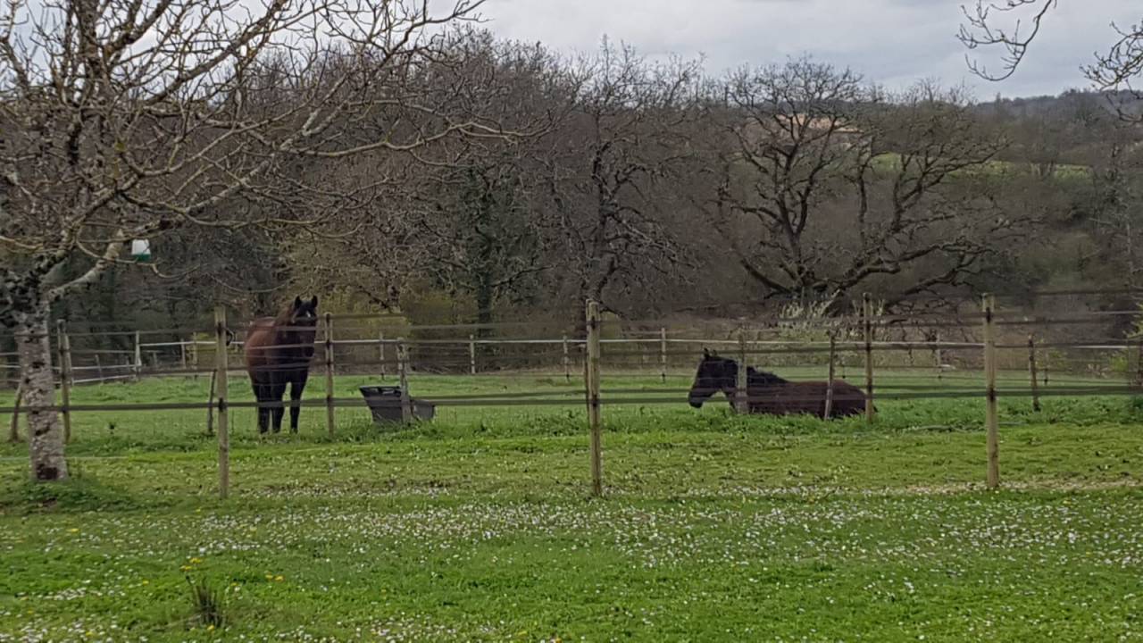 Luxurious equestrian property  Gironde