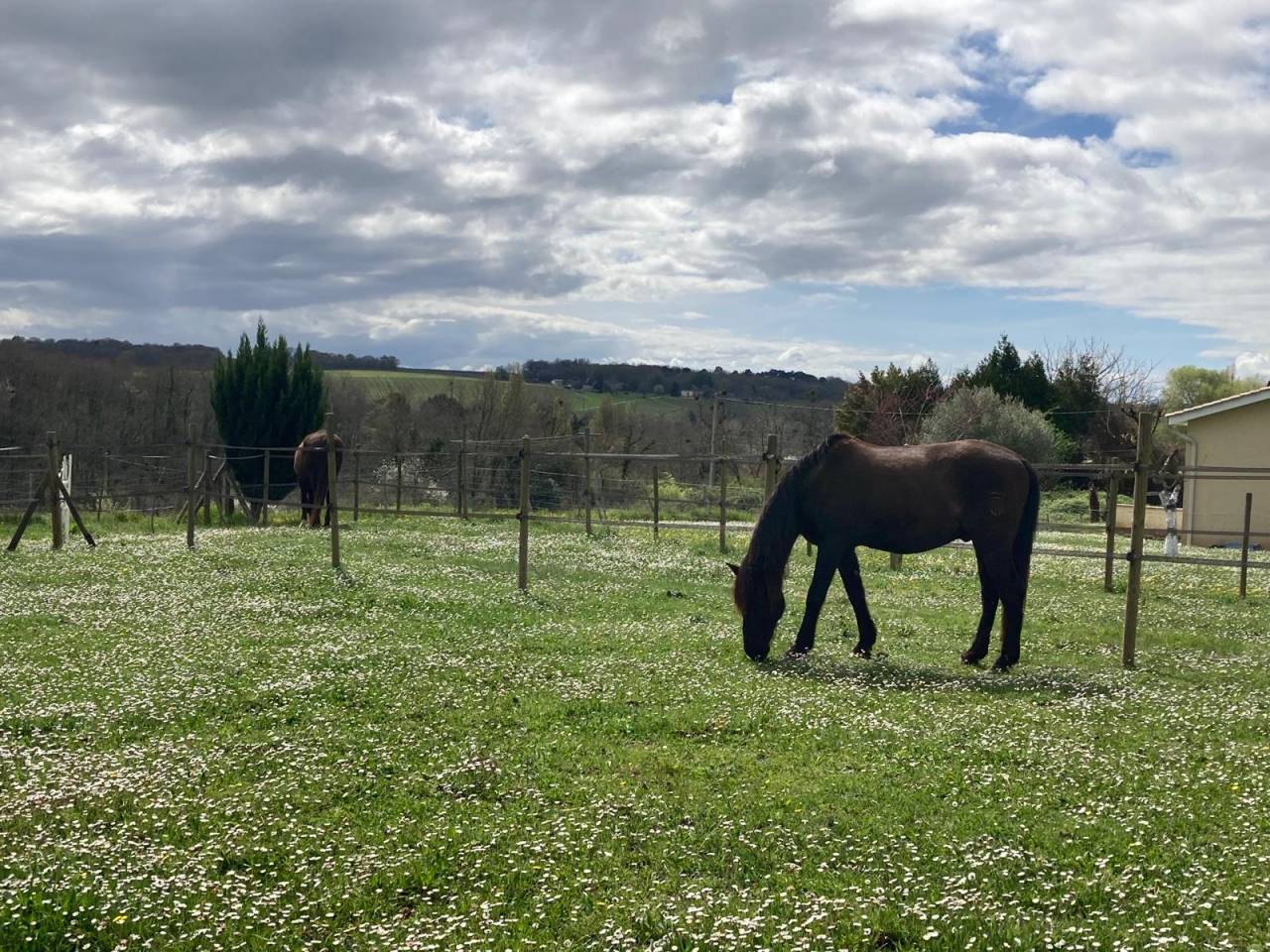 Luxurious equestrian property  Gironde