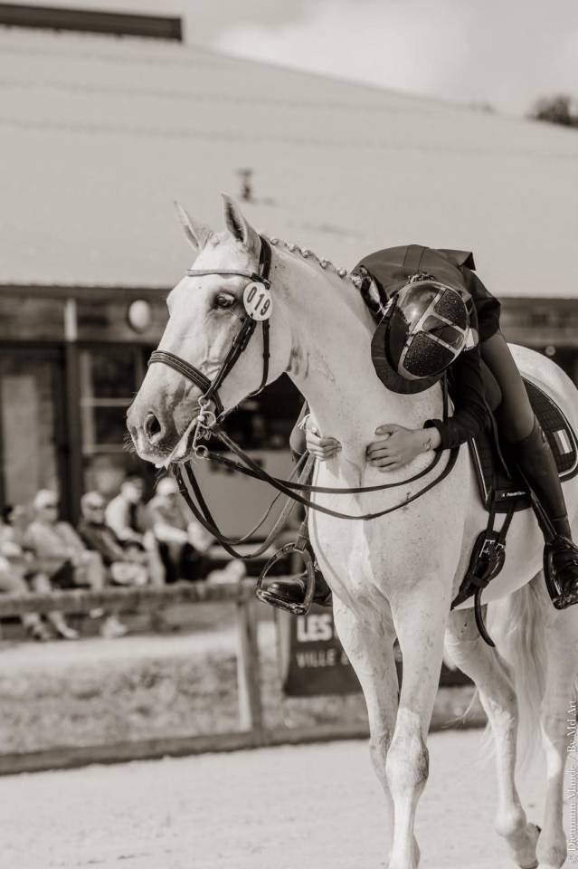 Gelding Lusitano For sale 2012 Grey