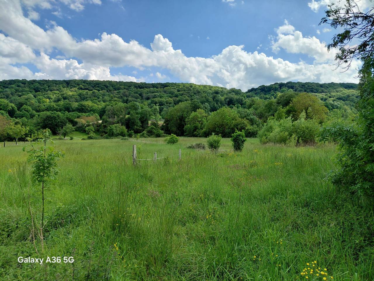 Equestrian property  Seine-Maritime