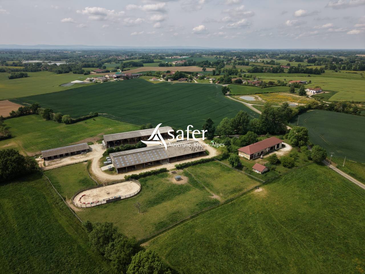 Sheep farm  Ain