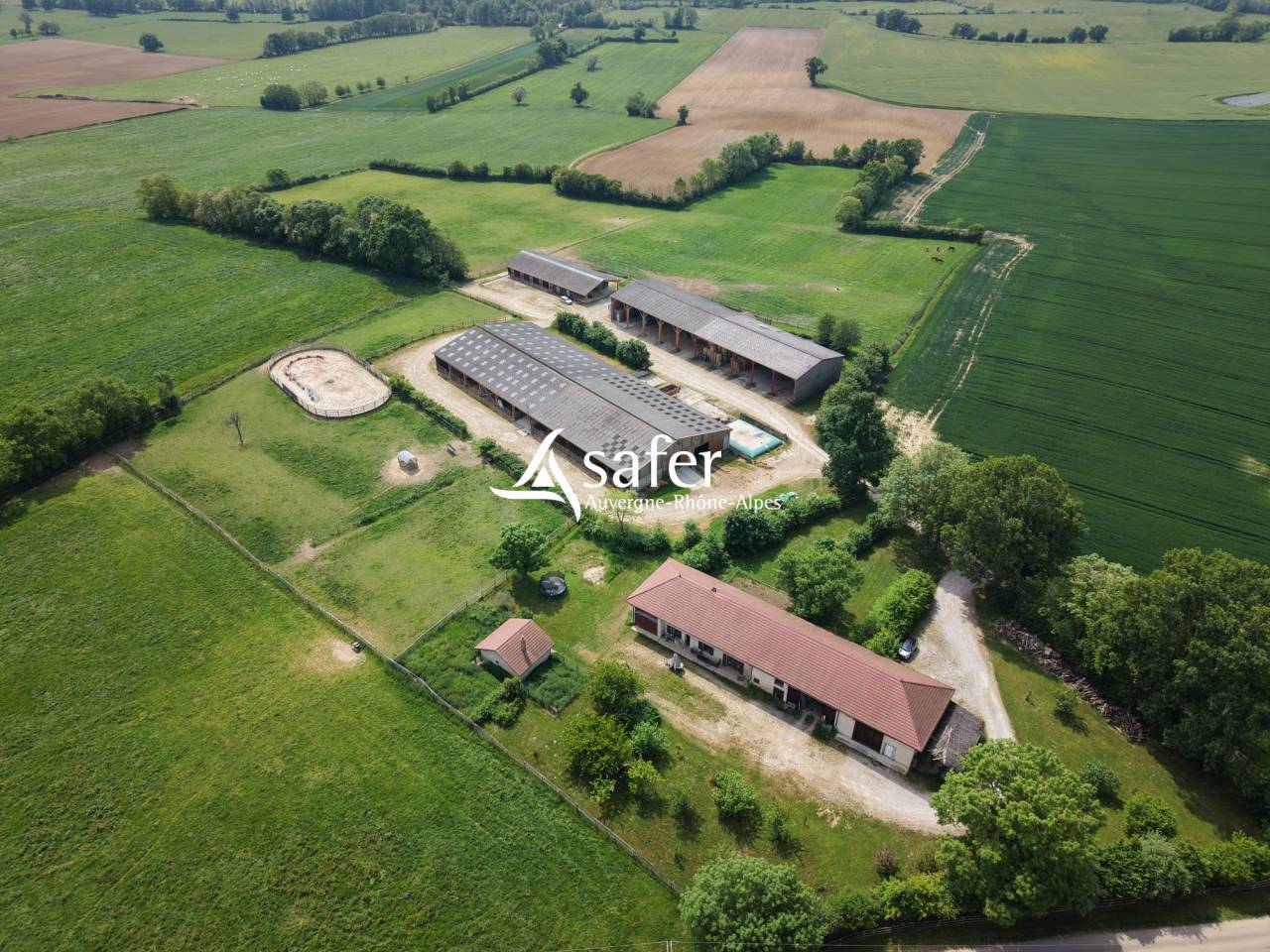 Sheep farm  Ain