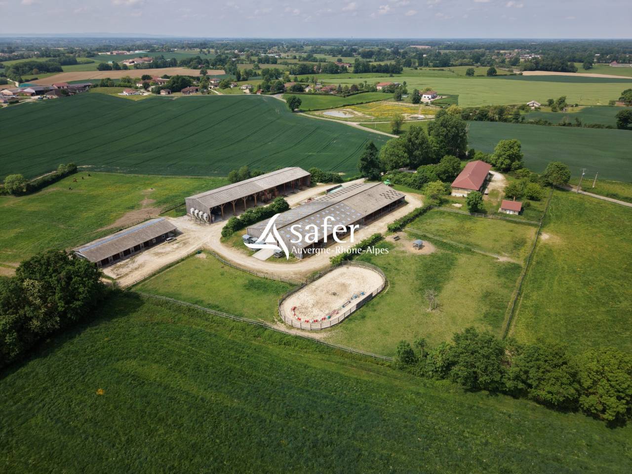 Sheep farm  Ain