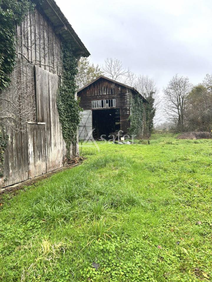 Other agricultural property  Lot-et-Garonne