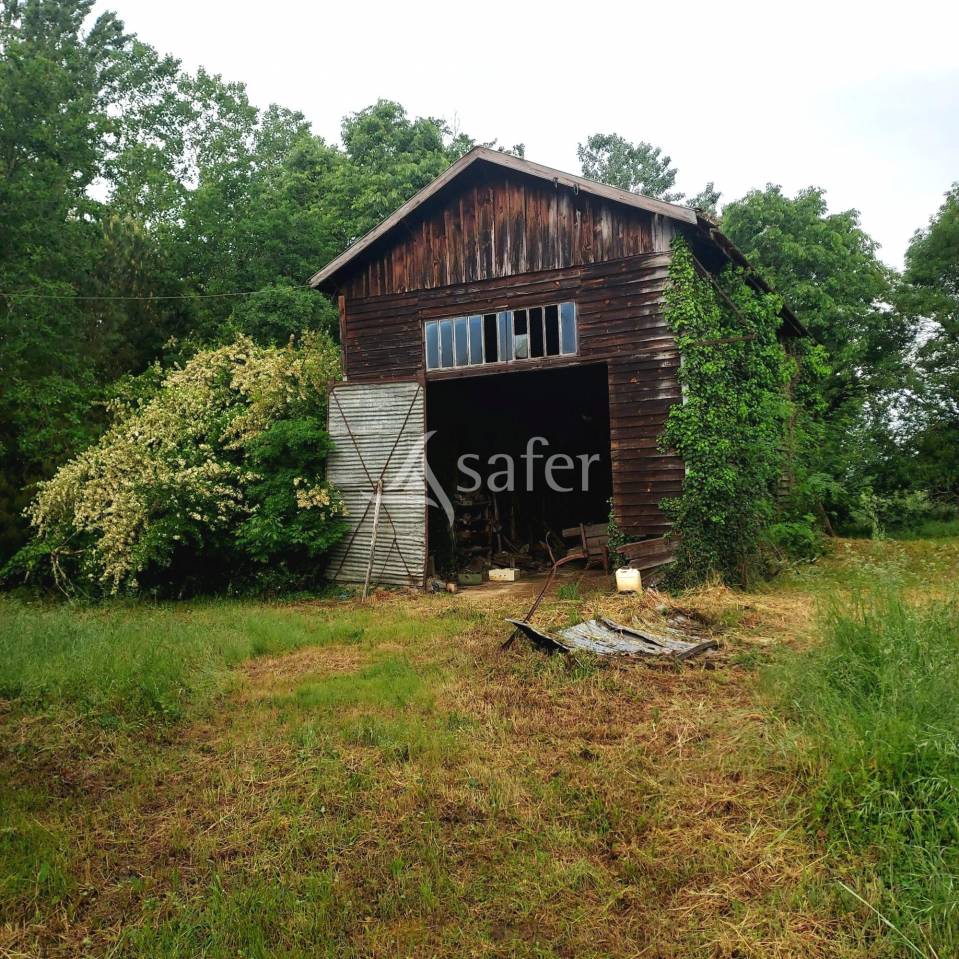 Other agricultural property  Lot-et-Garonne
