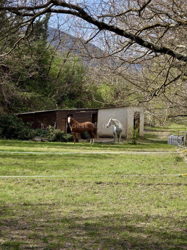Equestrian property  Dr&ocirc;me