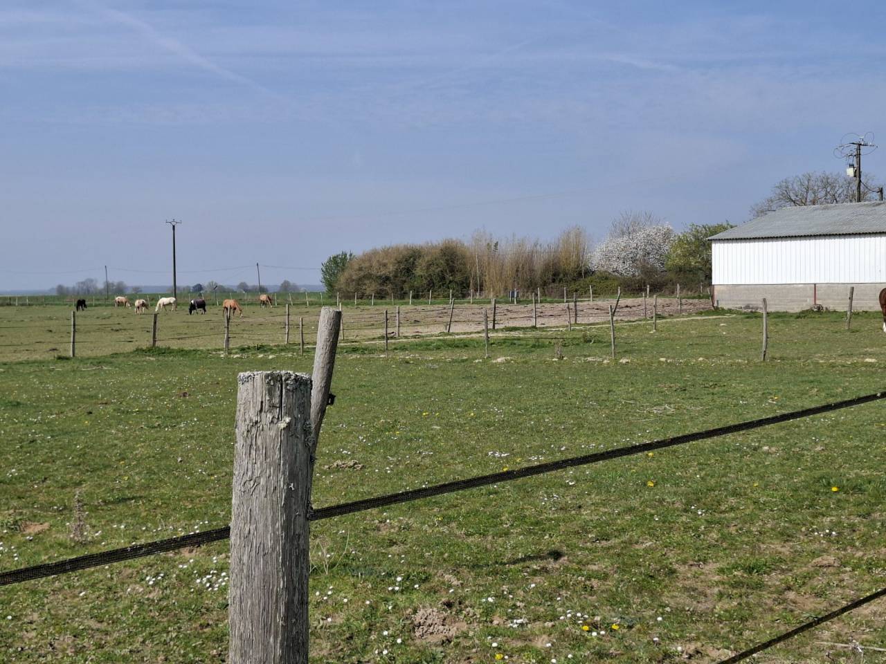 Equestrian property  Loiret