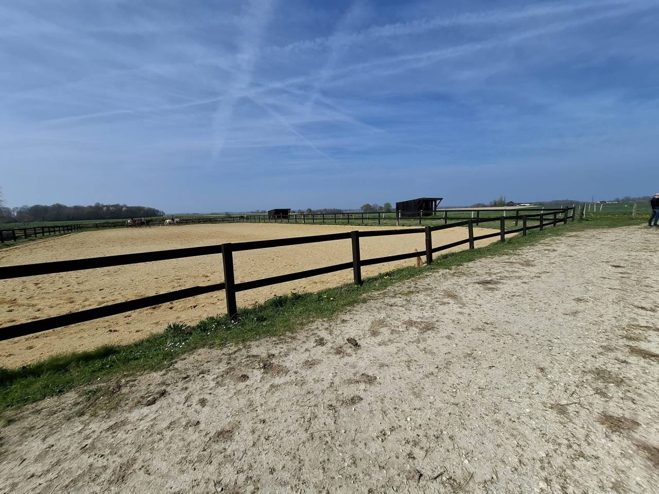 Equestrian property  Loiret