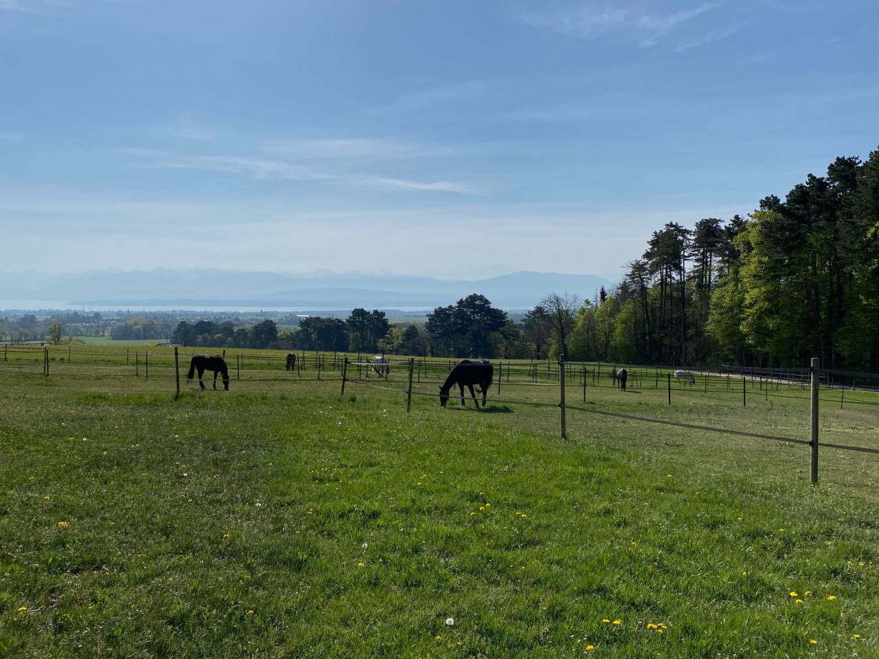 Manager, Yard - Permanent contract Full time - Vaud Switzerland