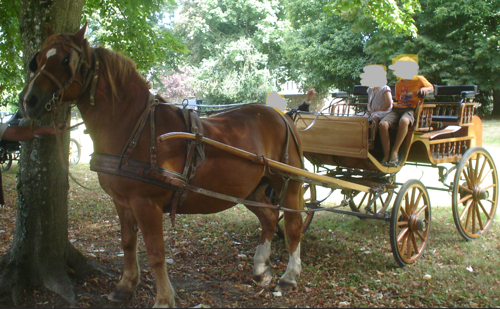 Carriage - Cal&egrave;che - Other brand -  