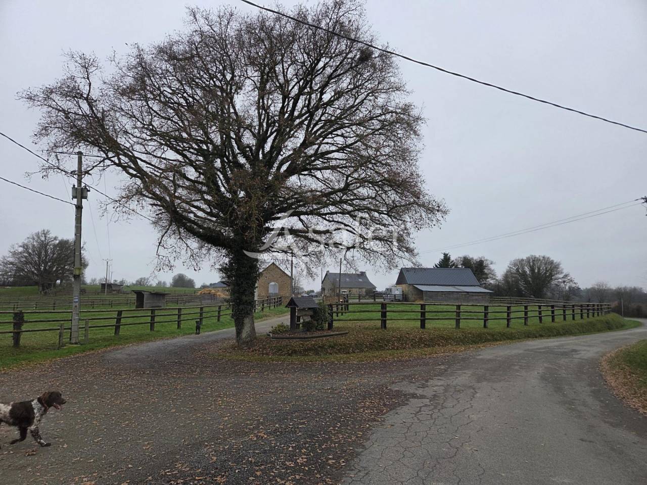 Equestrian property  Mayenne