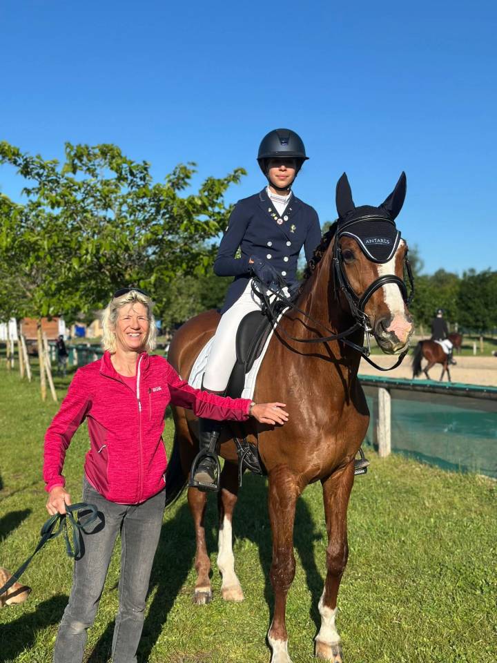 Mare Hanoverian For sale 2015 Bay