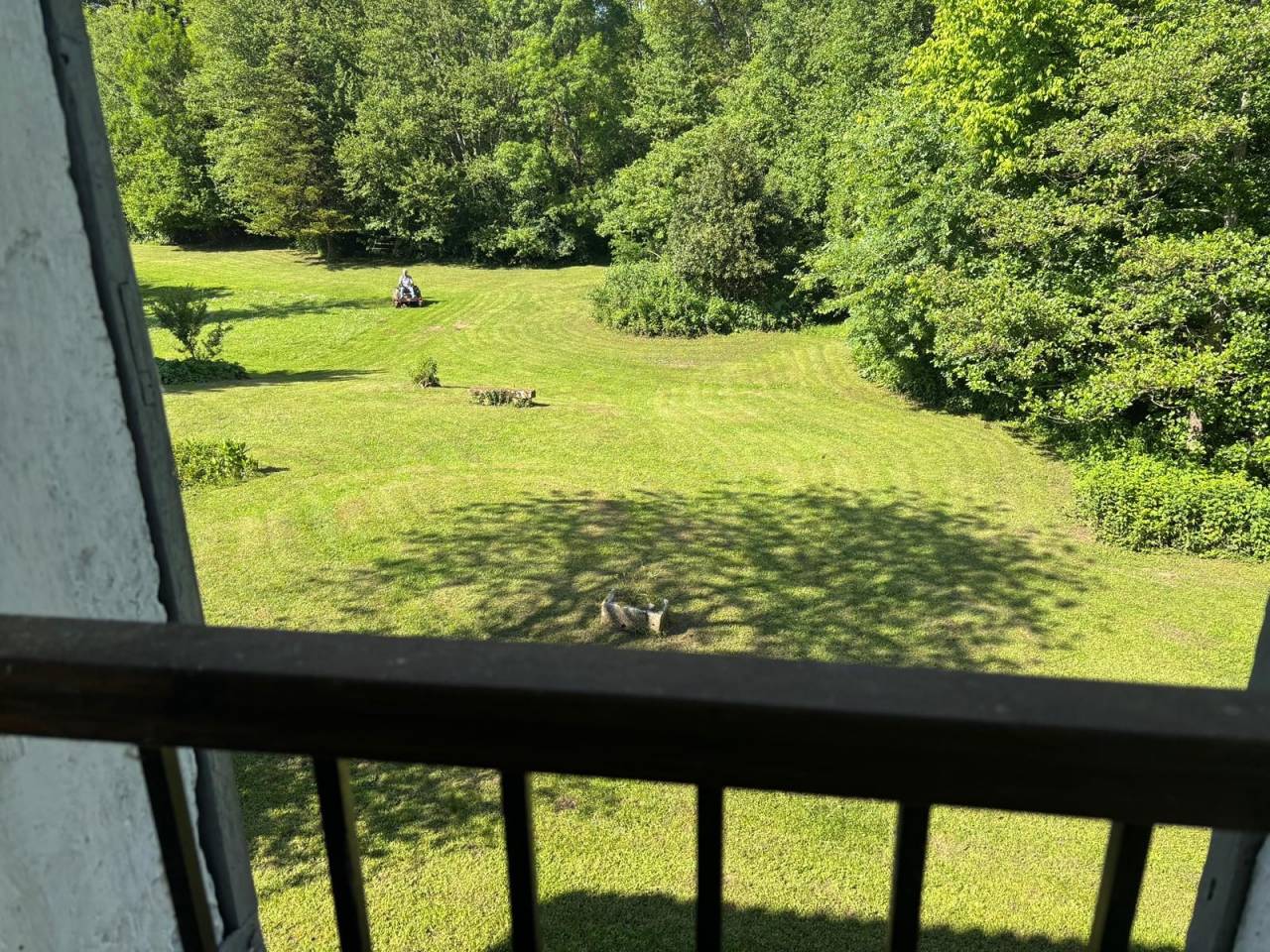 Equestrian property  