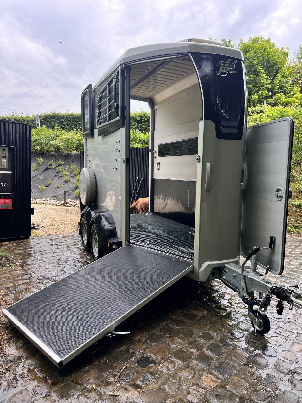 Horse trailer Ifor Williams Hbx403 1,5 Stalls 2022 Used