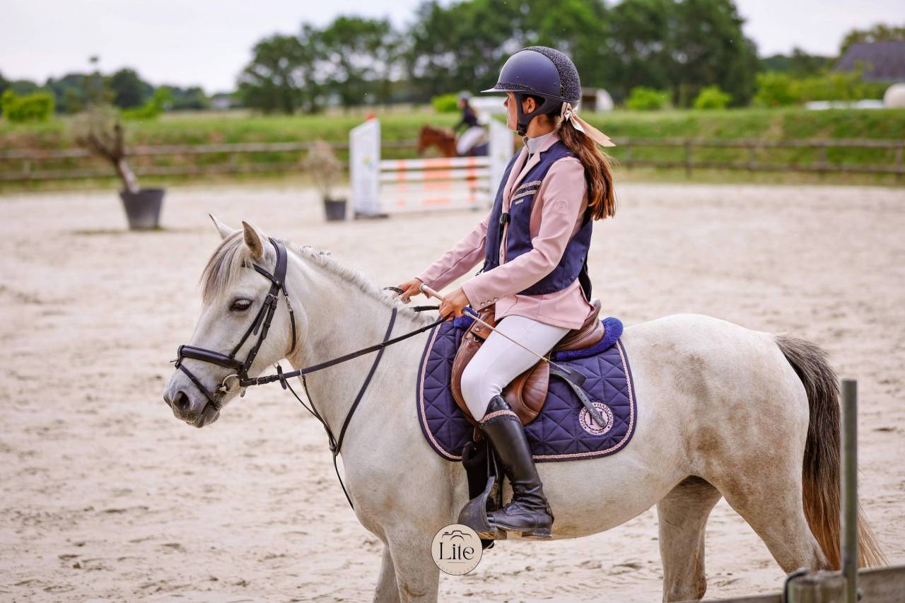 Mare Connemara For sale 2021 Grey