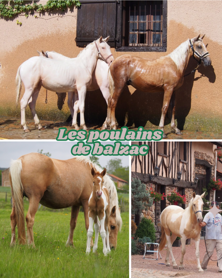 Balzac d&rsquo;honneur - Origin Recorded 2011 by Prince