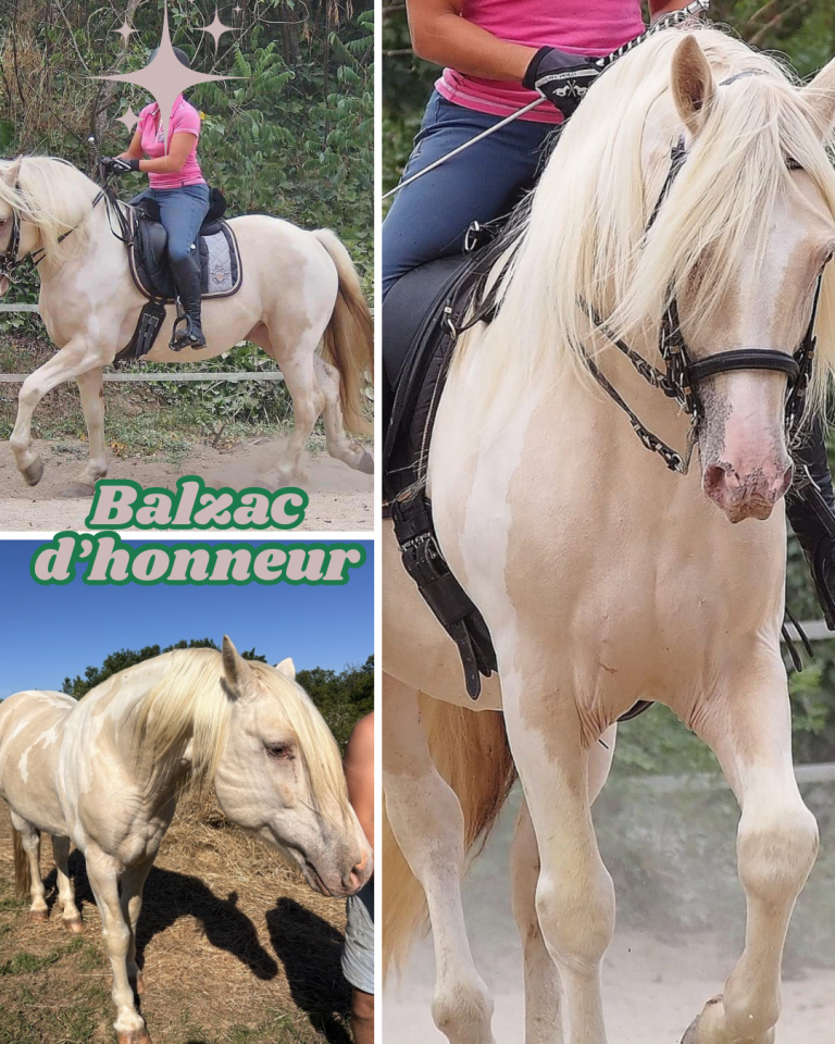 Balzac d&rsquo;honneur - Origin Recorded 2011 by Prince