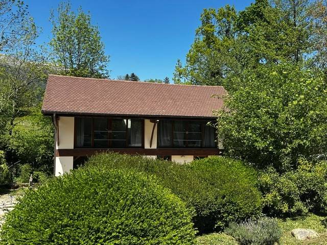 Luxurious equestrian property  Ain