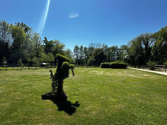 Luxurious equestrian property  Ain