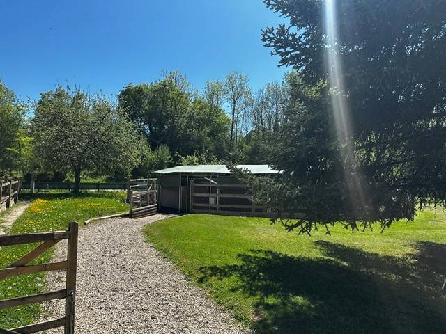 Luxurious equestrian property  Ain