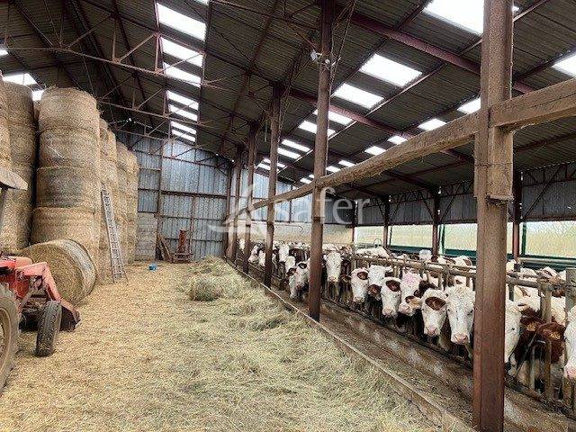 Other agricultural property  Jura