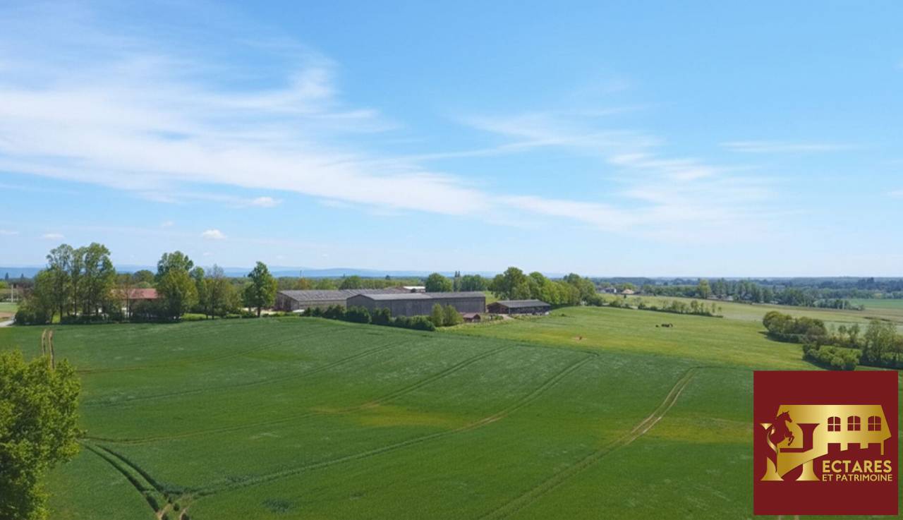 Equestrian property  Ain