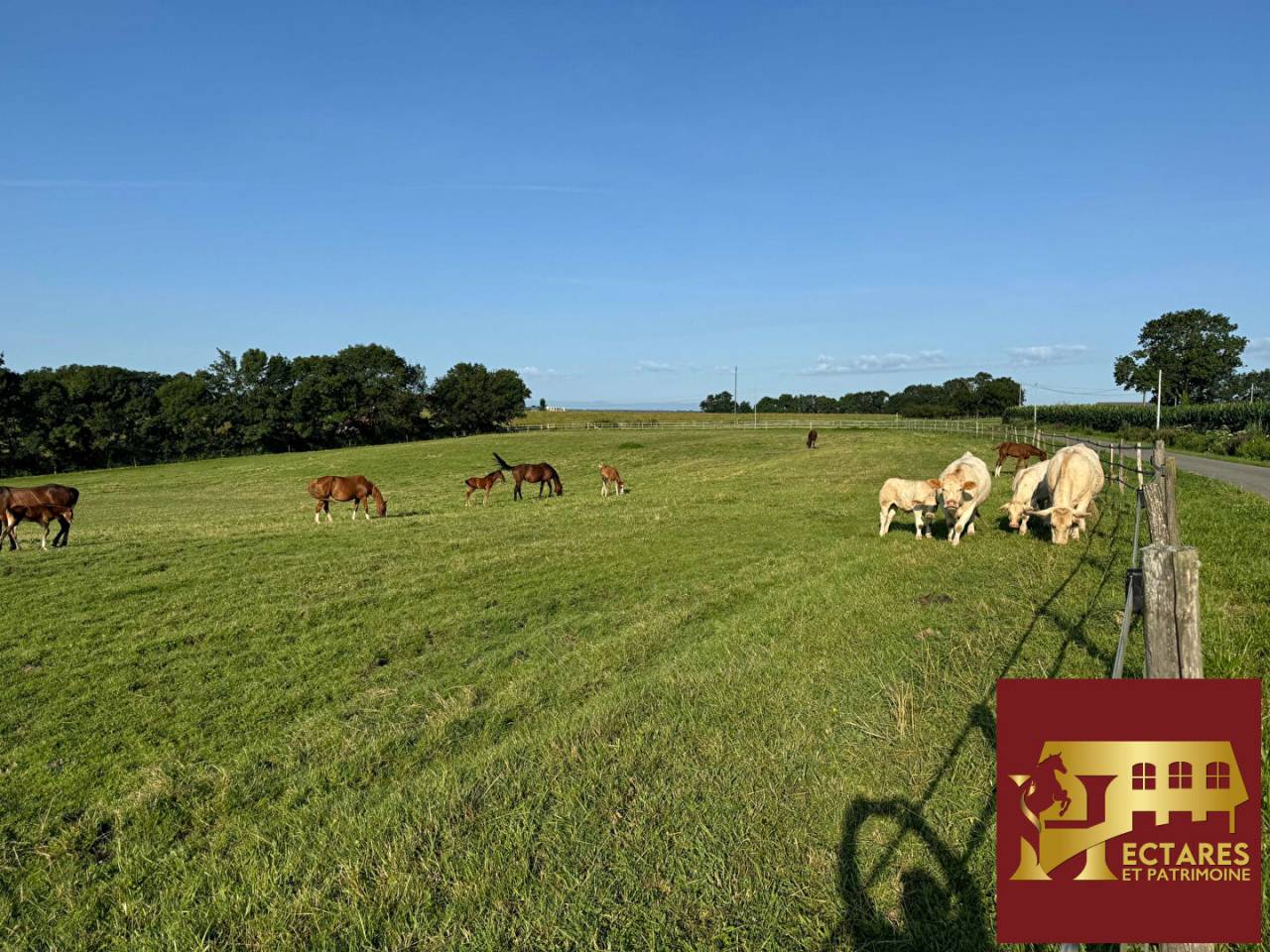 Equestrian property  Ain