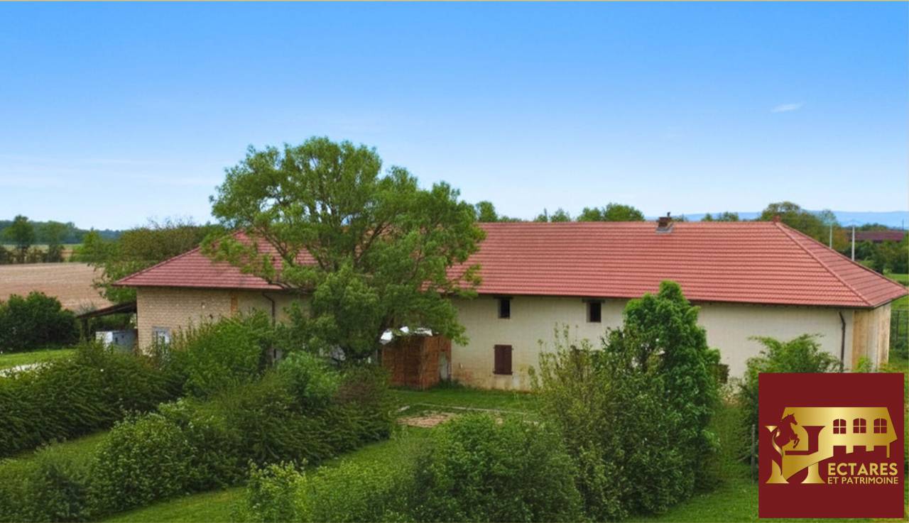 Equestrian property  Ain
