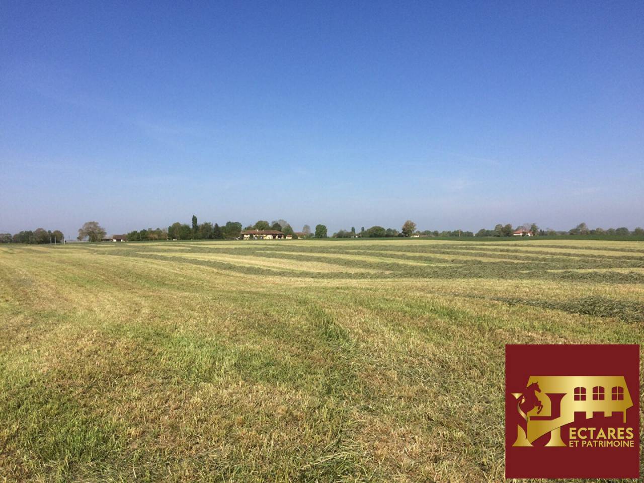 Equestrian property  Ain